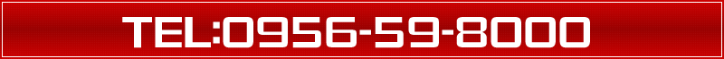 0956-59-8000